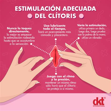 como tocar un clitoris|Clítoris: qué es, dónde está y cómo estimular el ...